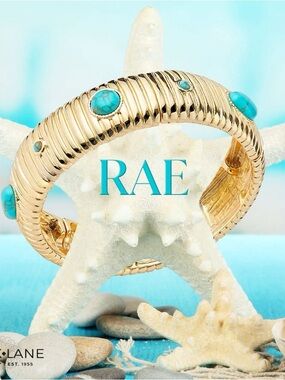 Park Lane RAE Bracelet Turquoise Cabachons Gold tone Textured Stretch Bangle NWT